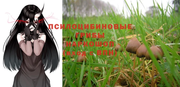 дживик Вяземский